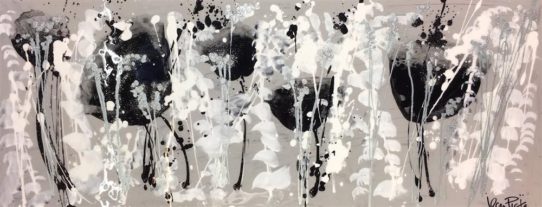black swan jean picton