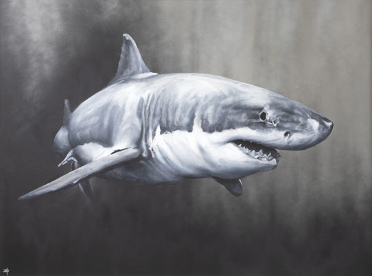 dean martin shark