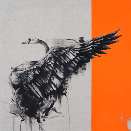 Raw Orange Swan Original by Tommy Fiendish