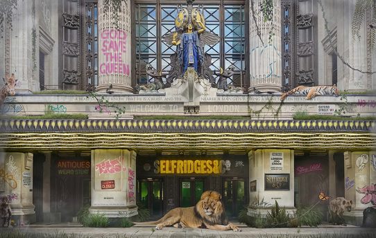 Selfridges & Co. by JJ Adams