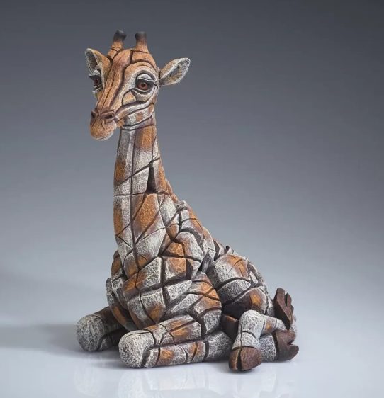 Giraffe Calf by Matt Buckley